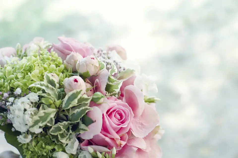 Frame Production Weddings